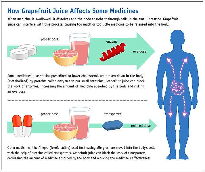 Grapefruit juice; drug interaction; enzyme; liver enzyme; contraindication; how grapefruit affects drug metabolism; drug metabolism.