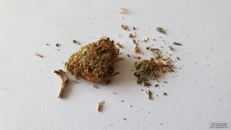 Cannatonic - a low THC, high CBD sativa strain of cannabis by Resin Seeds.