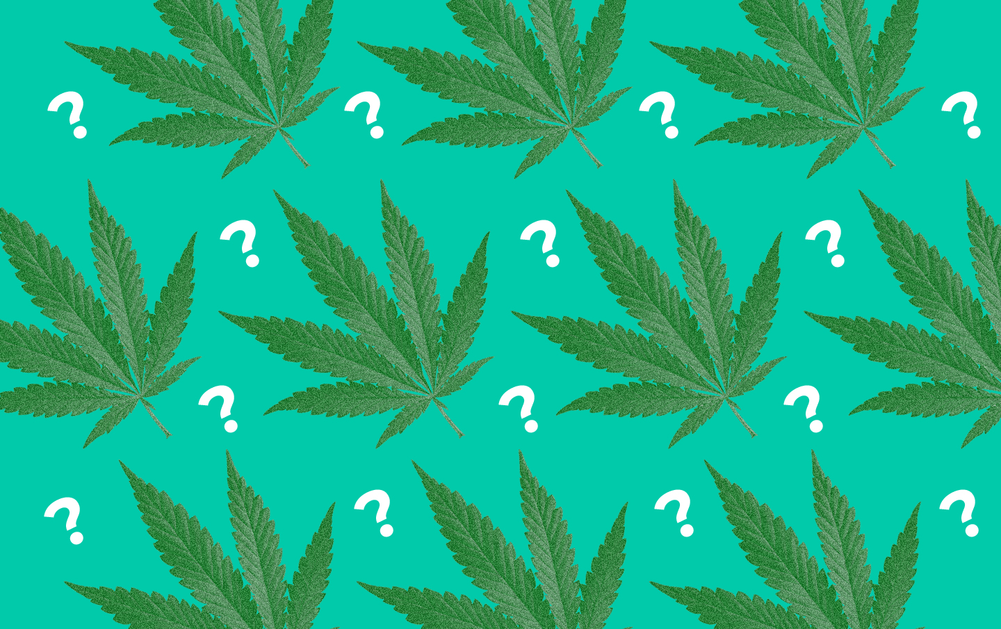 What is marijuana / cannabis / weed?