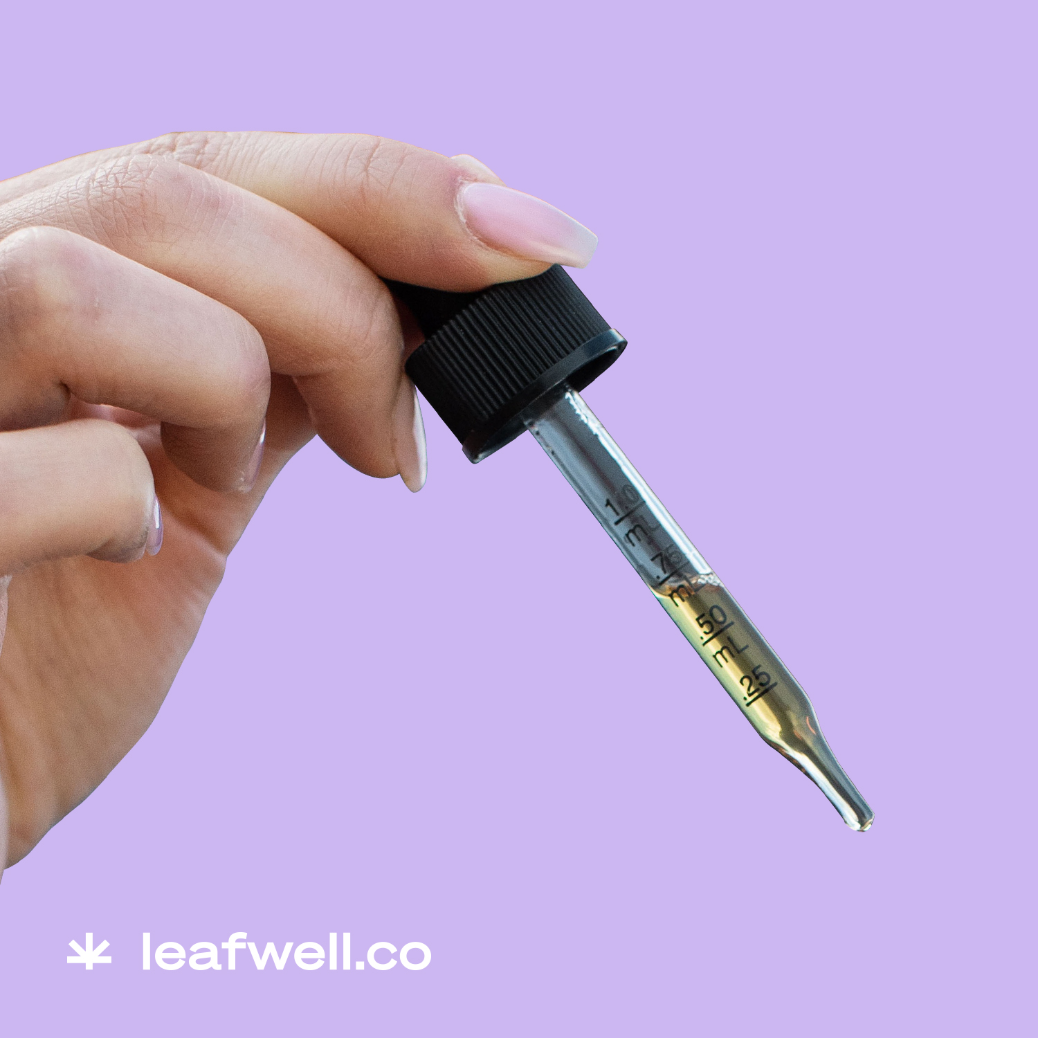 cannabis oils and tinctures